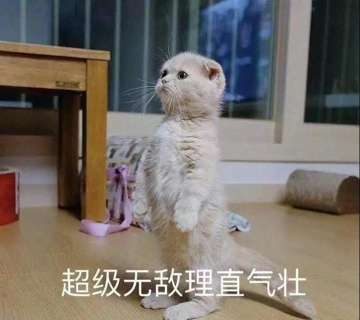 微信图片_20200217232702.jpg